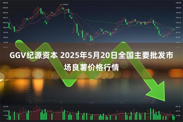 GGV纪源资本 2025年5月20日全国主要批发市场良薯价格行情